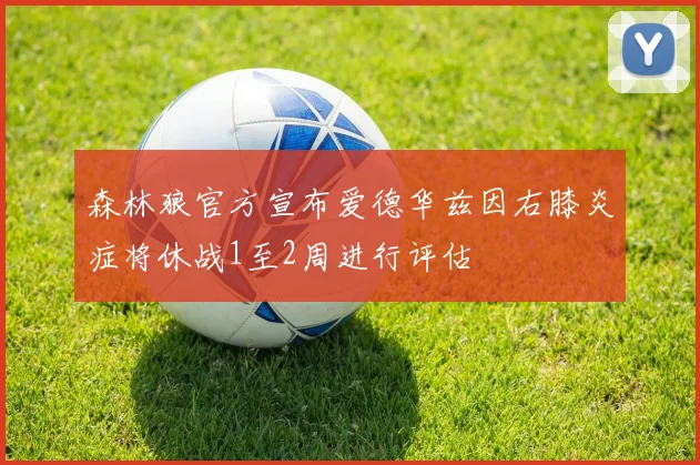 森林狼官方宣布爱德华兹因右膝炎症将休战1至2周进行评估